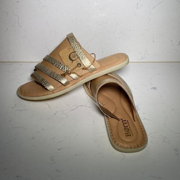 Born SASSAFRASS - Picture 5 of 5